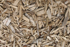 biomass boilers Bun Amhuillinn